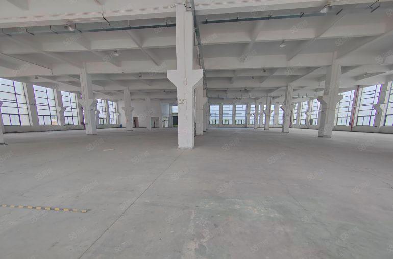 标准厂房独栋一楼8米高，园区形象好，空地大，周围生活配套