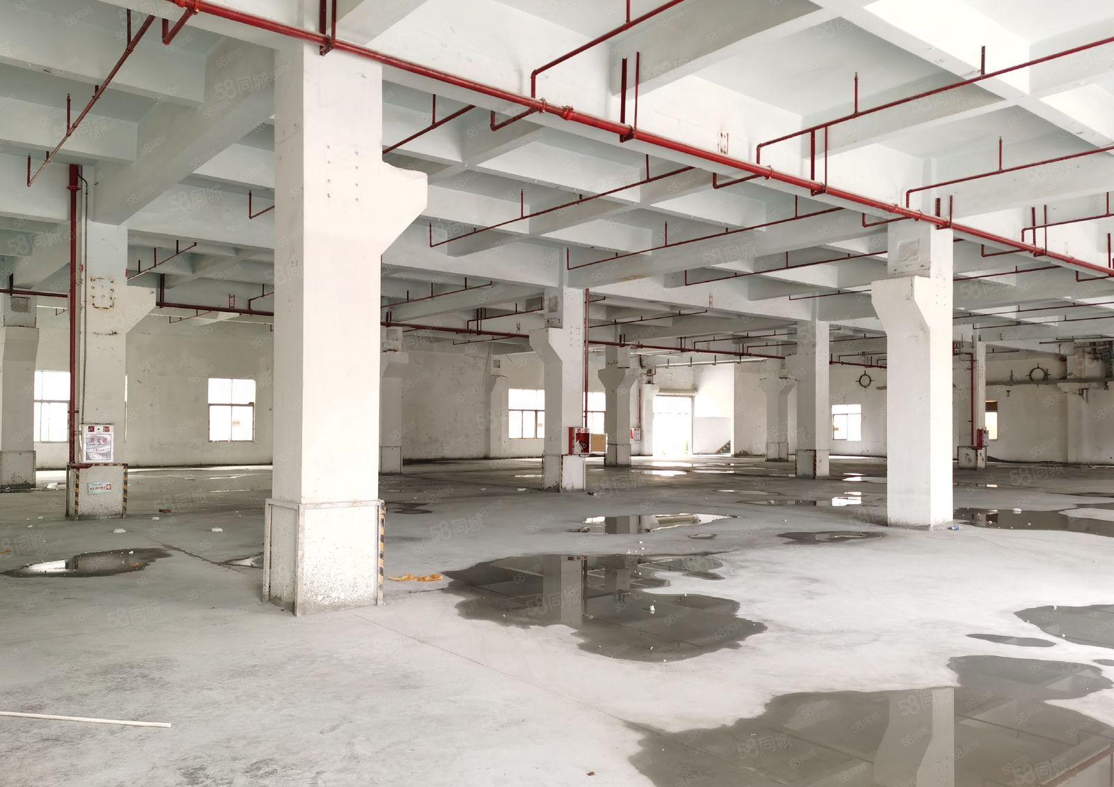 长安镇G107旁独院一楼3000平厂房出租带牛角可办环评