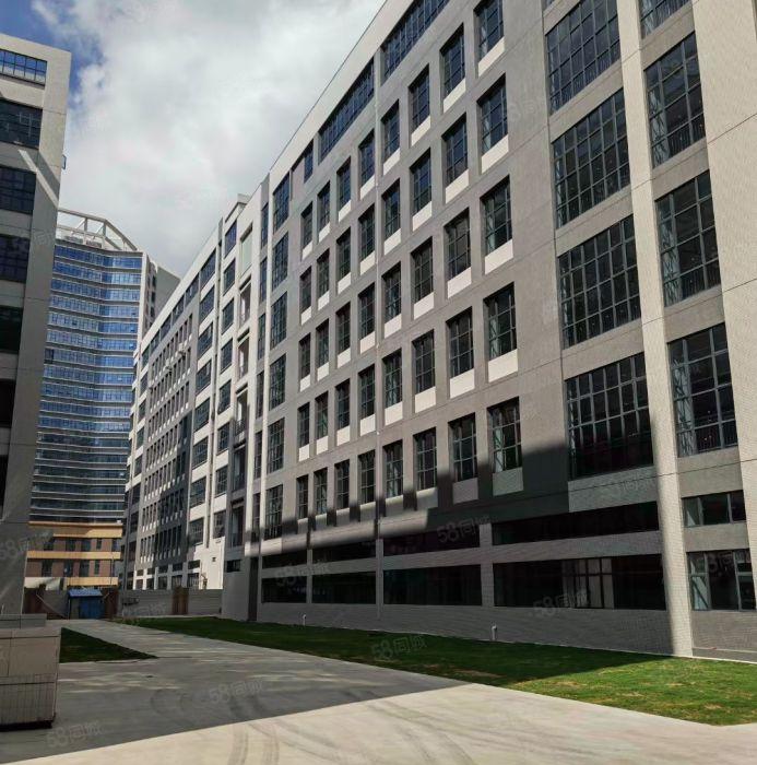 万江大型综合产业园   原房东直租  配套完善   格