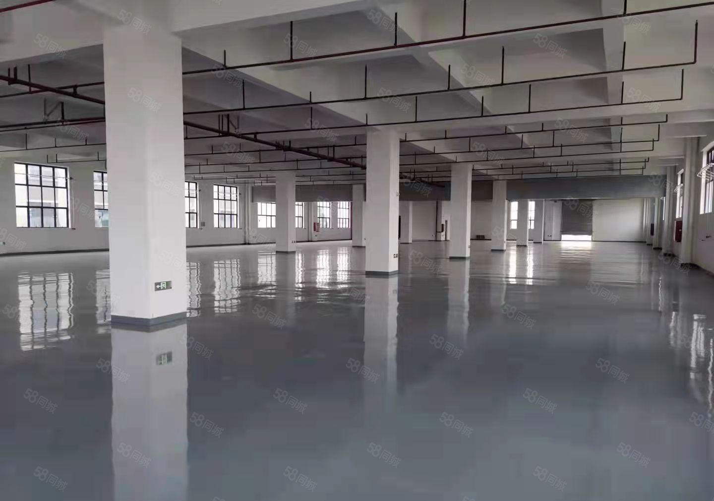 长安临近厚街新出独门独院标准厂房出租，形象地理位置优越