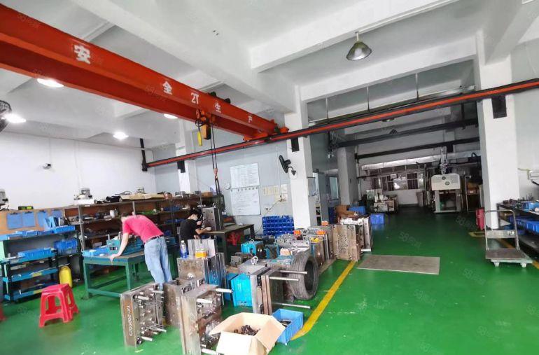 长安镇107国道边上，新出一楼一手房东带航车，300平起分租