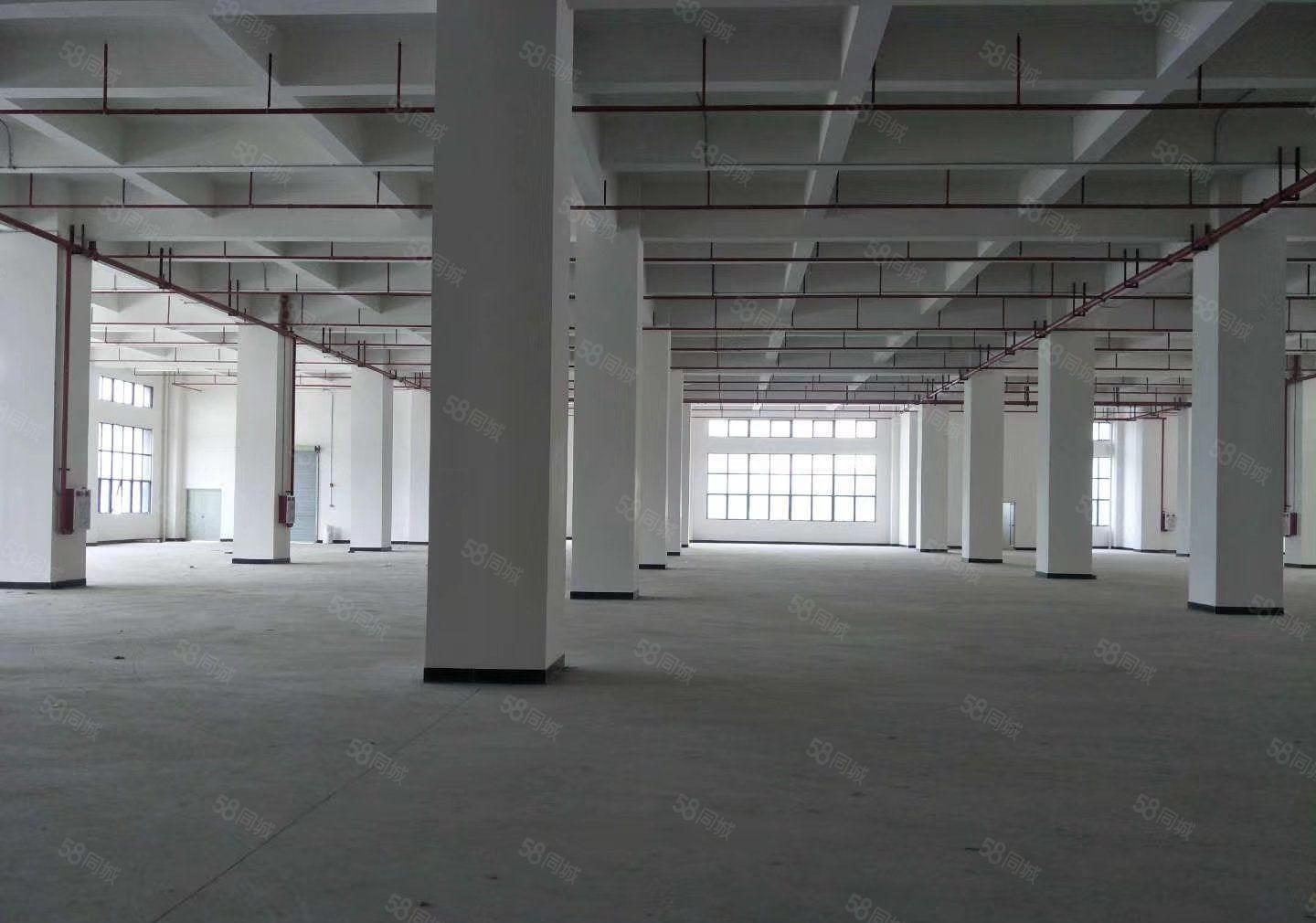 高端园区一楼厂房7500平6米高可分租空地大可办环评电可过户