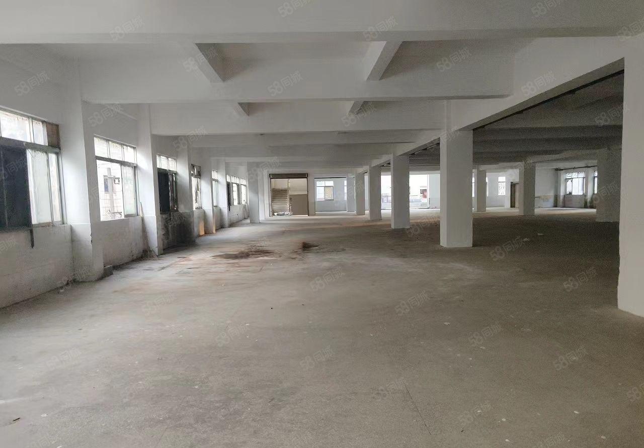 长安厦岗九成新独门独院厂房出租 临近虎门 交通方便