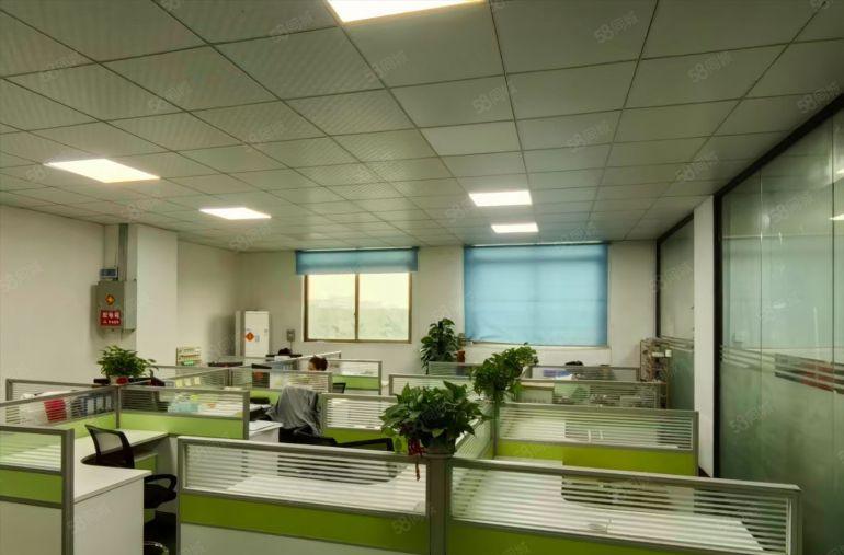 长安沙头新空楼上实际面积950平方，精装修厂房招租