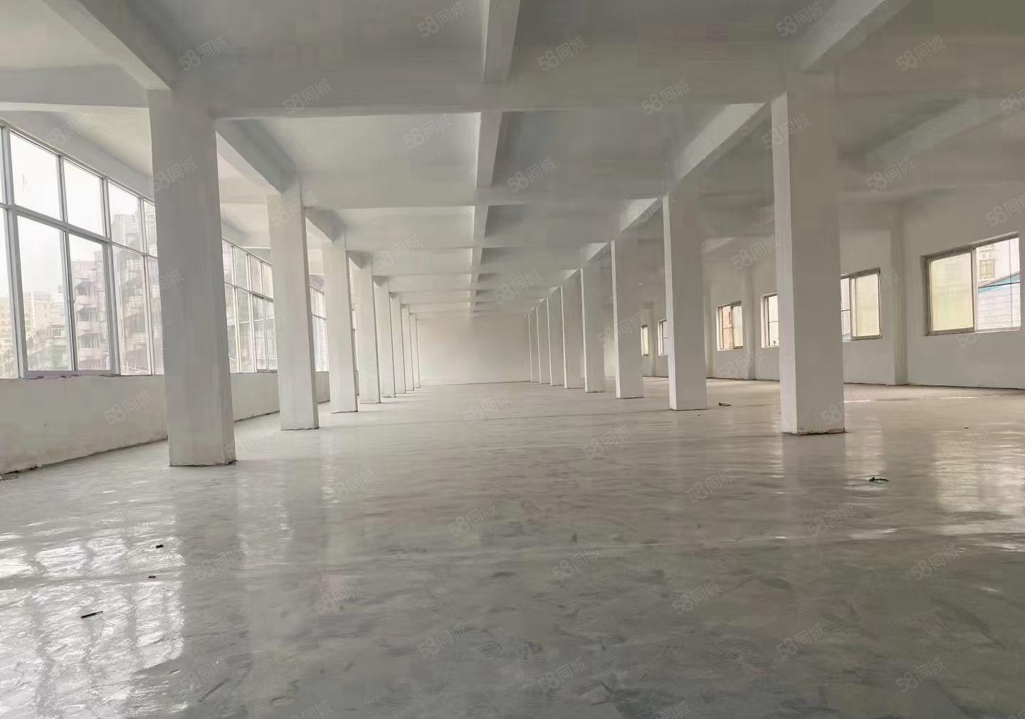 长安镇厦边新出独门独院厂房出租3600平可办环评大小可分租