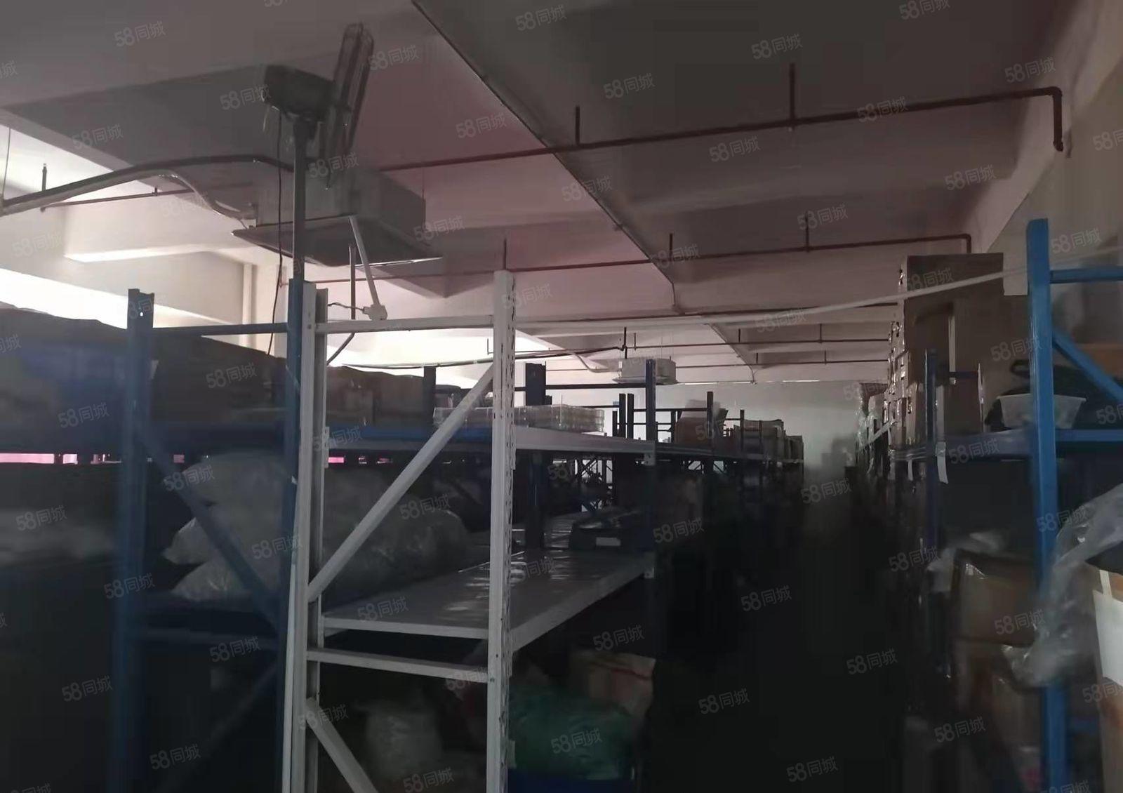 长安镇上沙社区新出标准厂房1600平招租，可分（价格优惠)