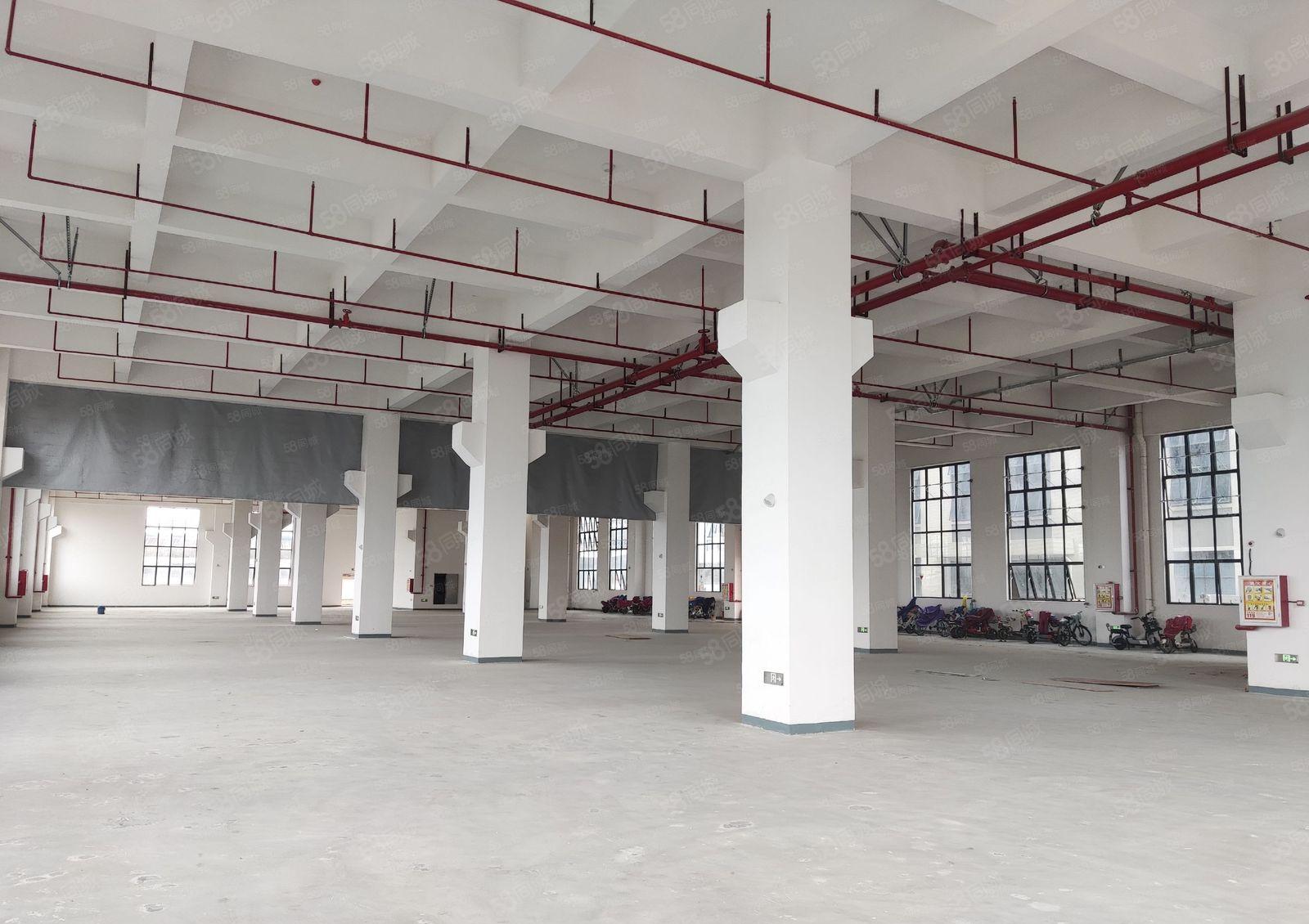 厂房出租 长安镇主干道旁全新一楼2100平带牛角适合各种行业