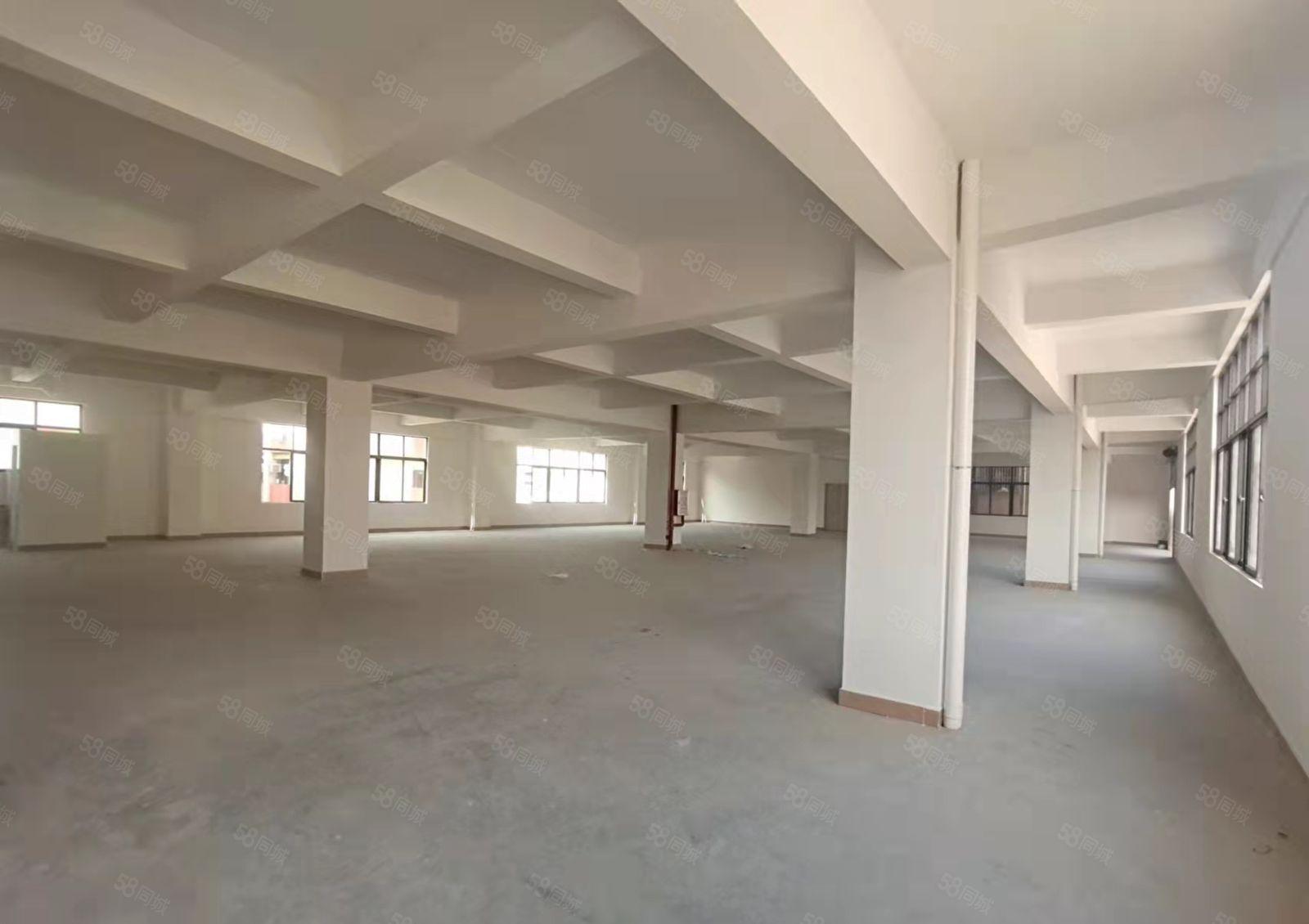 东莞长安沙头木鱼二街全新重工厂房5850平