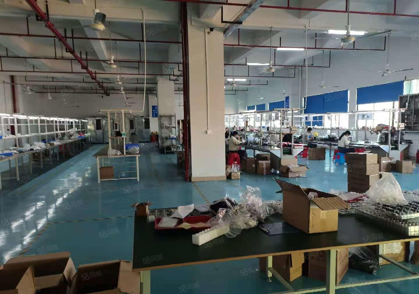 出租长安厦岗独门独院5000左右，设施齐全