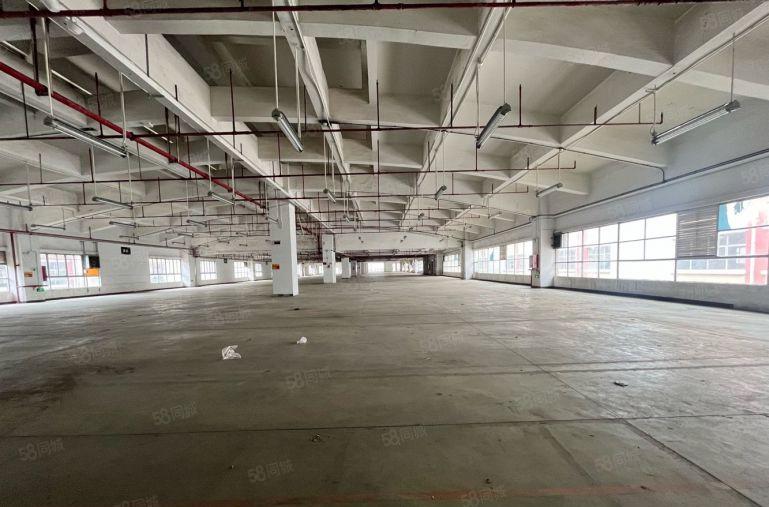 仓库 长安沙头 沿江高速3000平厂房出租 可分租 低价出租