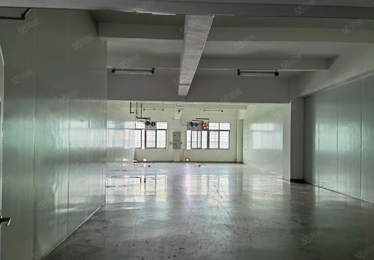 靓盘！长安厂房出租，小面积地坪漆无尘车间，电子客户福音