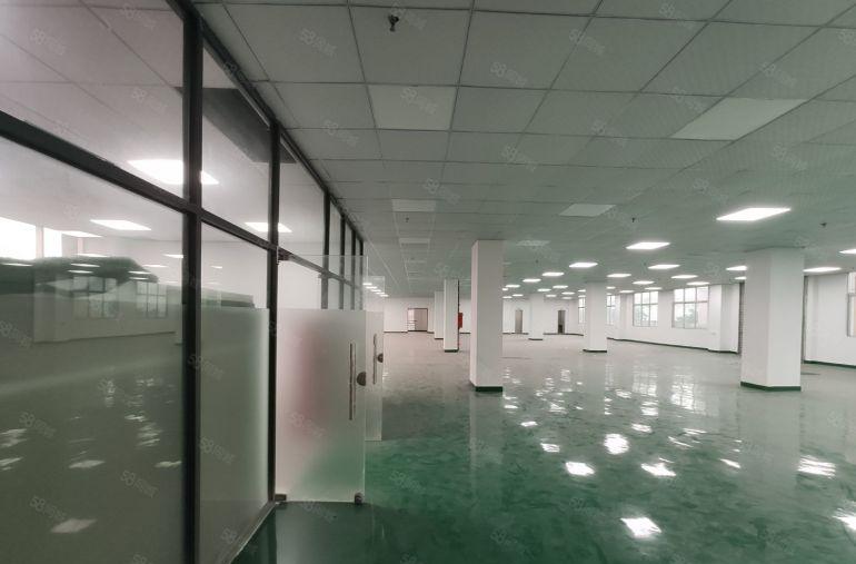 长安沙头南区新空出三楼1300平全新精装修工业厂房出租