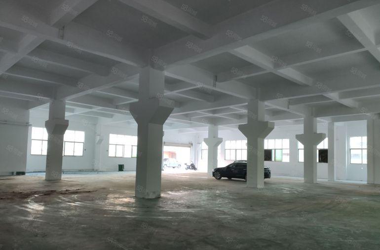 长安增田市场附近新空出一楼1500平带牛脚办公室装修厂房出租