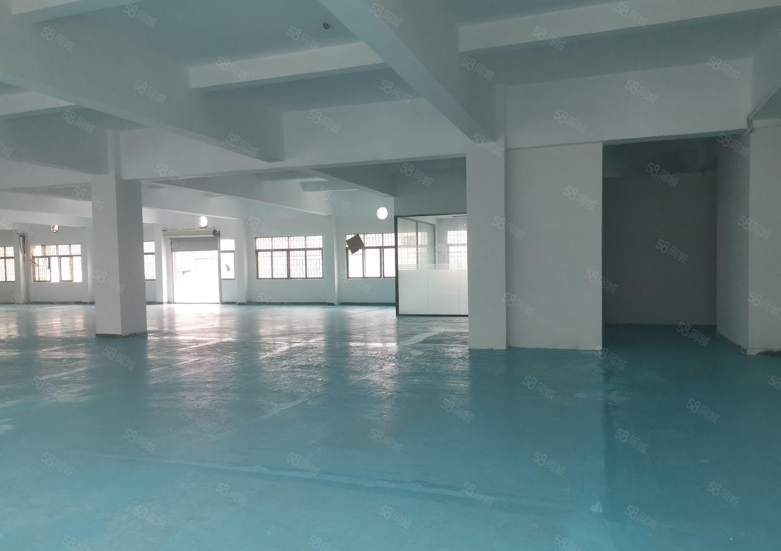 新安大桥旁新出二楼1800平方精装修厂房招租