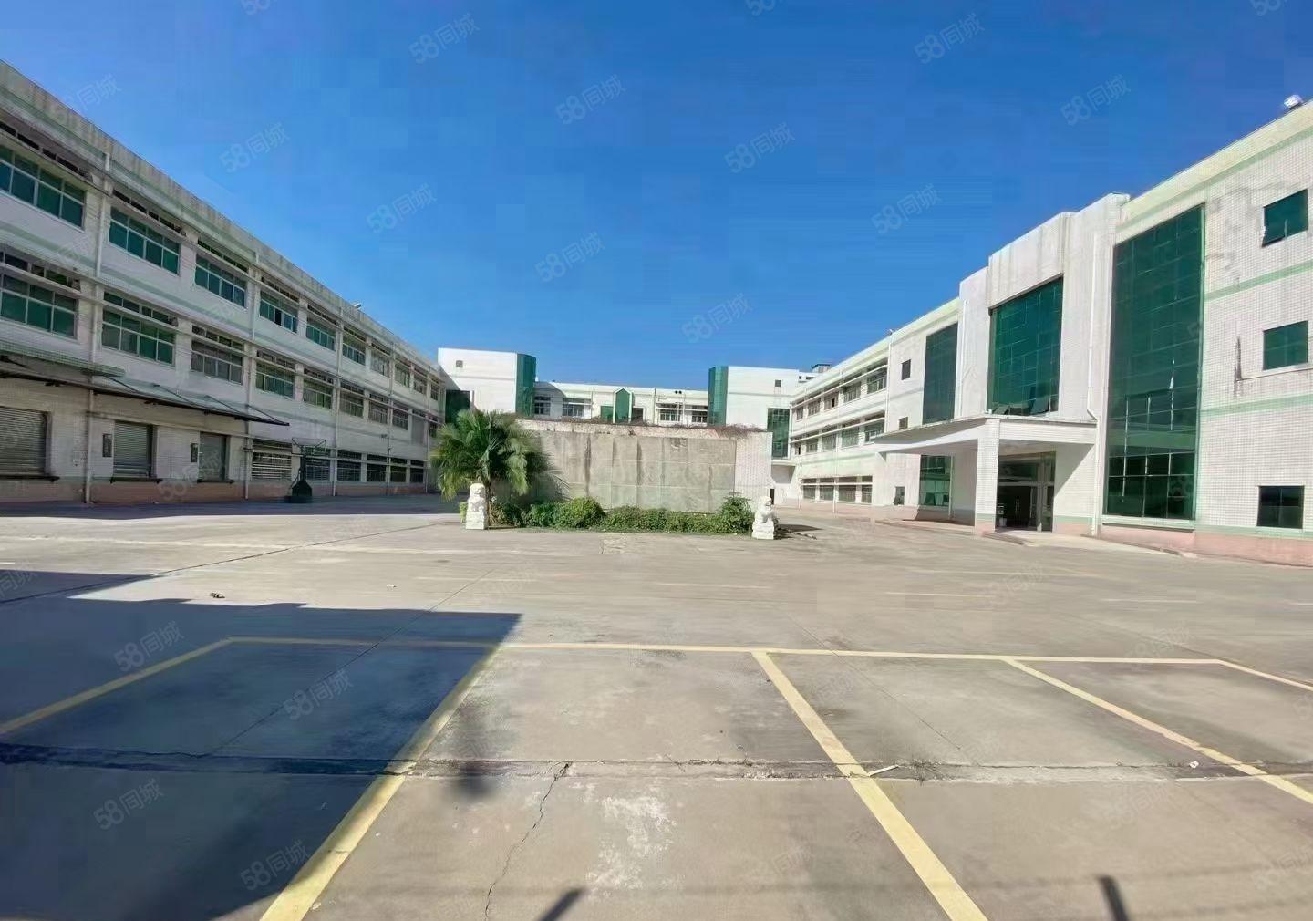 长安沙头大型电子厂房出租，面积30000平方米，可分租