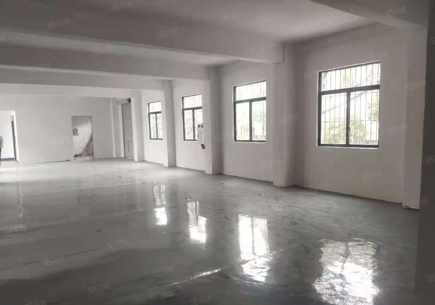 出租厂房，原房东长安锦厦多层厂房和铺面，全新装修