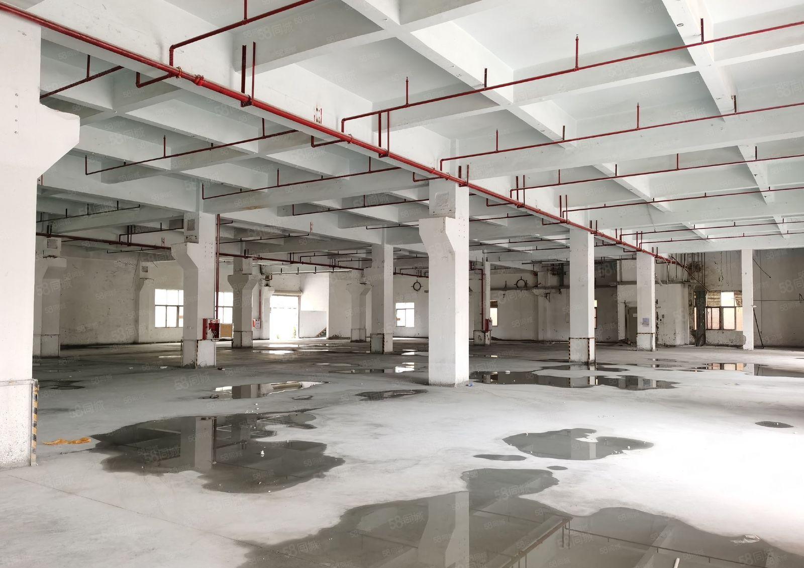 长安镇G107旁独院一楼3000平厂房出租带牛角可办环评