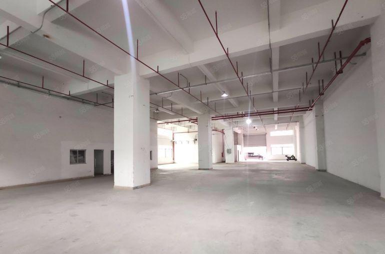 一楼1200平层高7米报价19块 长安厦岗低价工业厂房出租