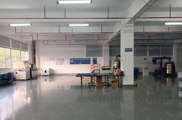 长安镇园区楼上1000平低价标准厂房出租 豪华装修水电齐全