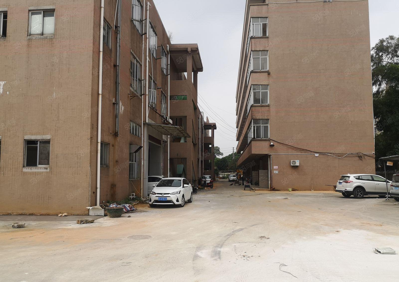 宵边一楼厂房5500平可分租5.5米高形象好空地超大环境优美