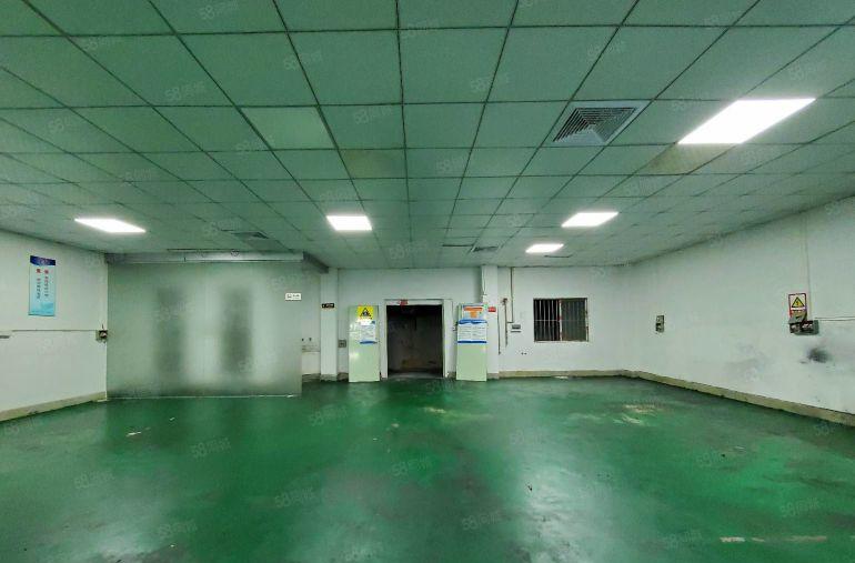 长安涌头靠深圳松岗一楼220平，400平带装修厂房仓库出租