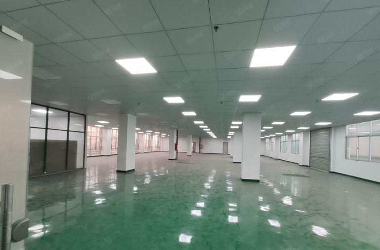 长安沙头南区新空出三楼1300平全新精装修工业厂房出租