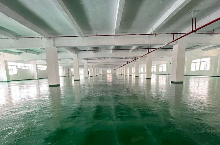 长安锦厦独院2000平厂房出租 可整租可分租 临界深圳