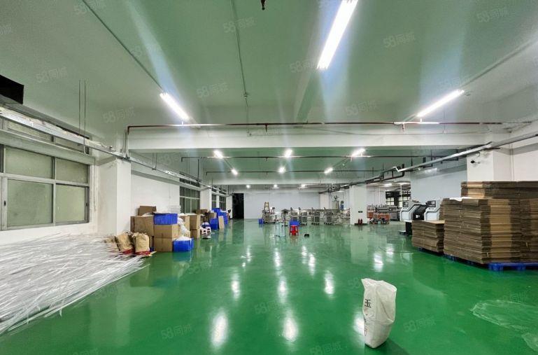 临界深圳沙井 长安乌沙 锦厦1200平厂房出租 可分租