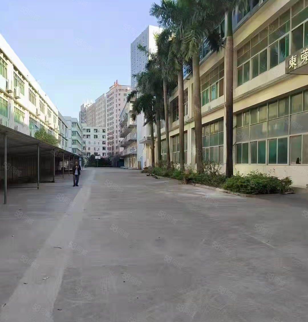 长安乌沙，独门独院，带装修，超大空地，形象好，花园厂房出租