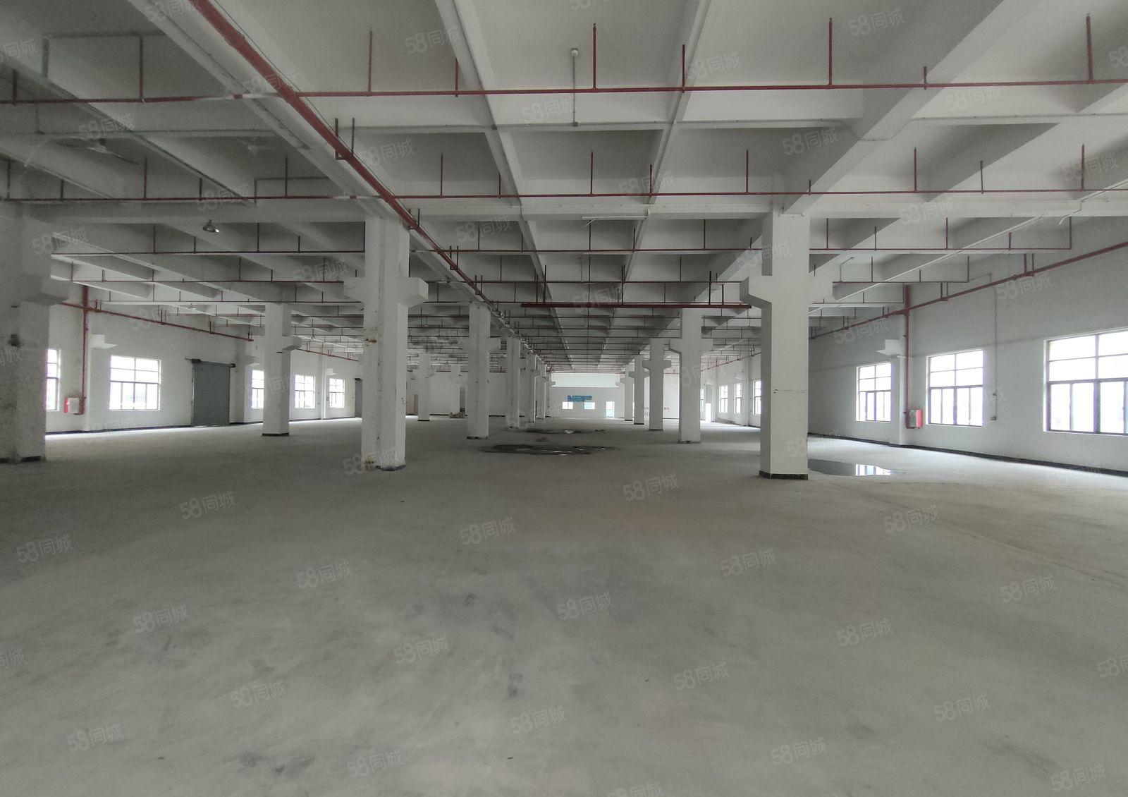 长安镇厦边一楼3580方花园式厂房出租高度8米带牛角