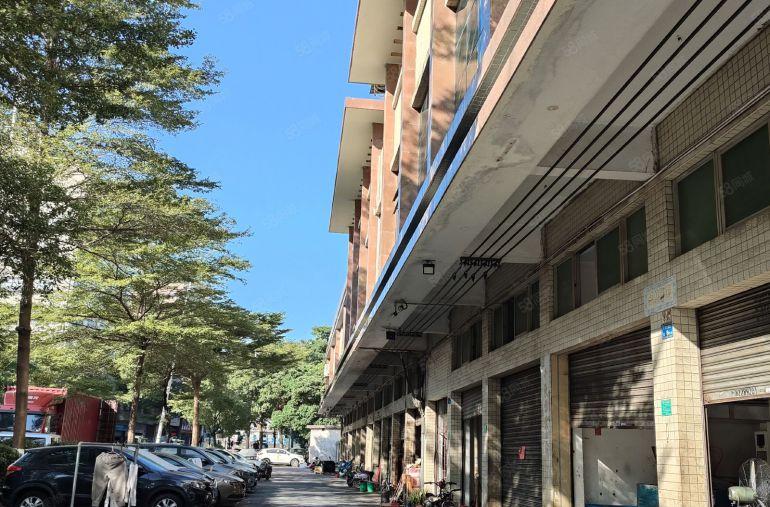 东莞长安涌头华兴工业园一楼厂房原房东直租