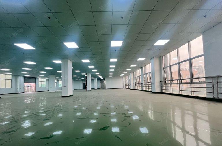 长安沙头原房东1000平厂房出租 可分租 电子 五金