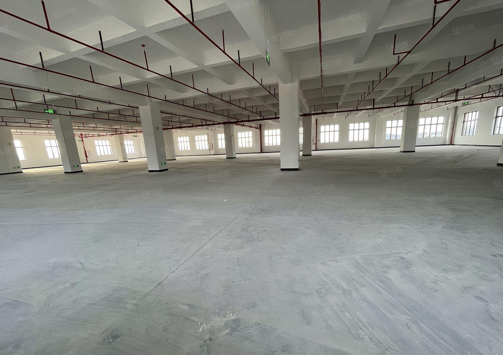 上屯原房东低价分租123楼，带注塑五金环评5百平方起分