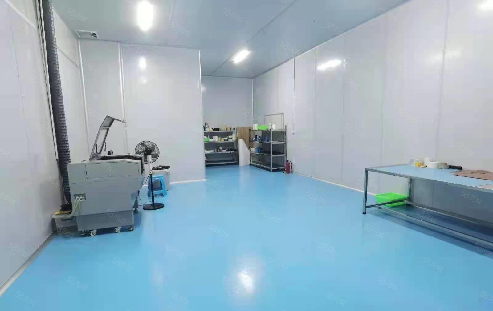 豪华装修水电齐全标准厂房整层出租