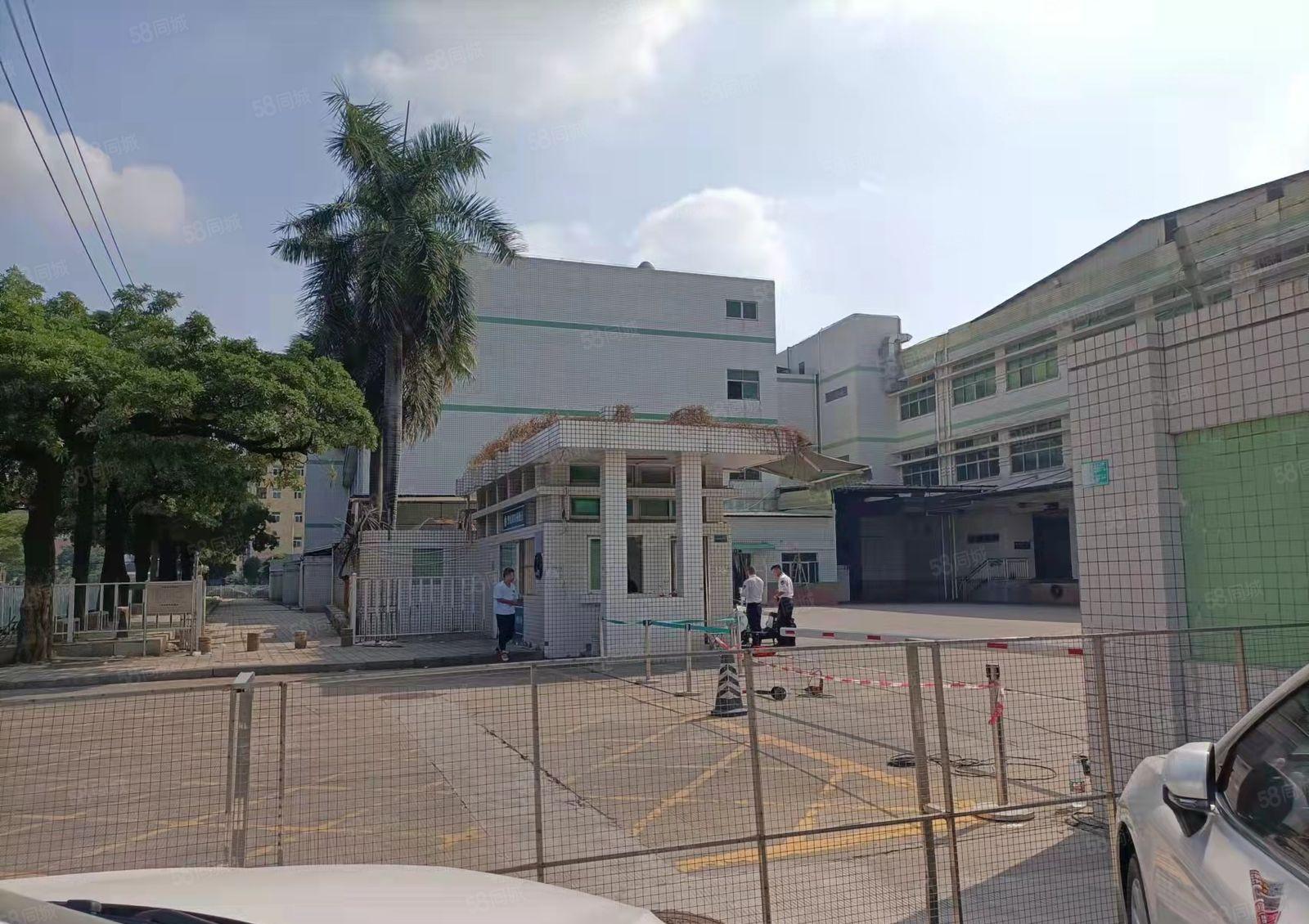 长安镇沙头独院厂房招租3000平喷油喷粉烤漆行业大小可分租