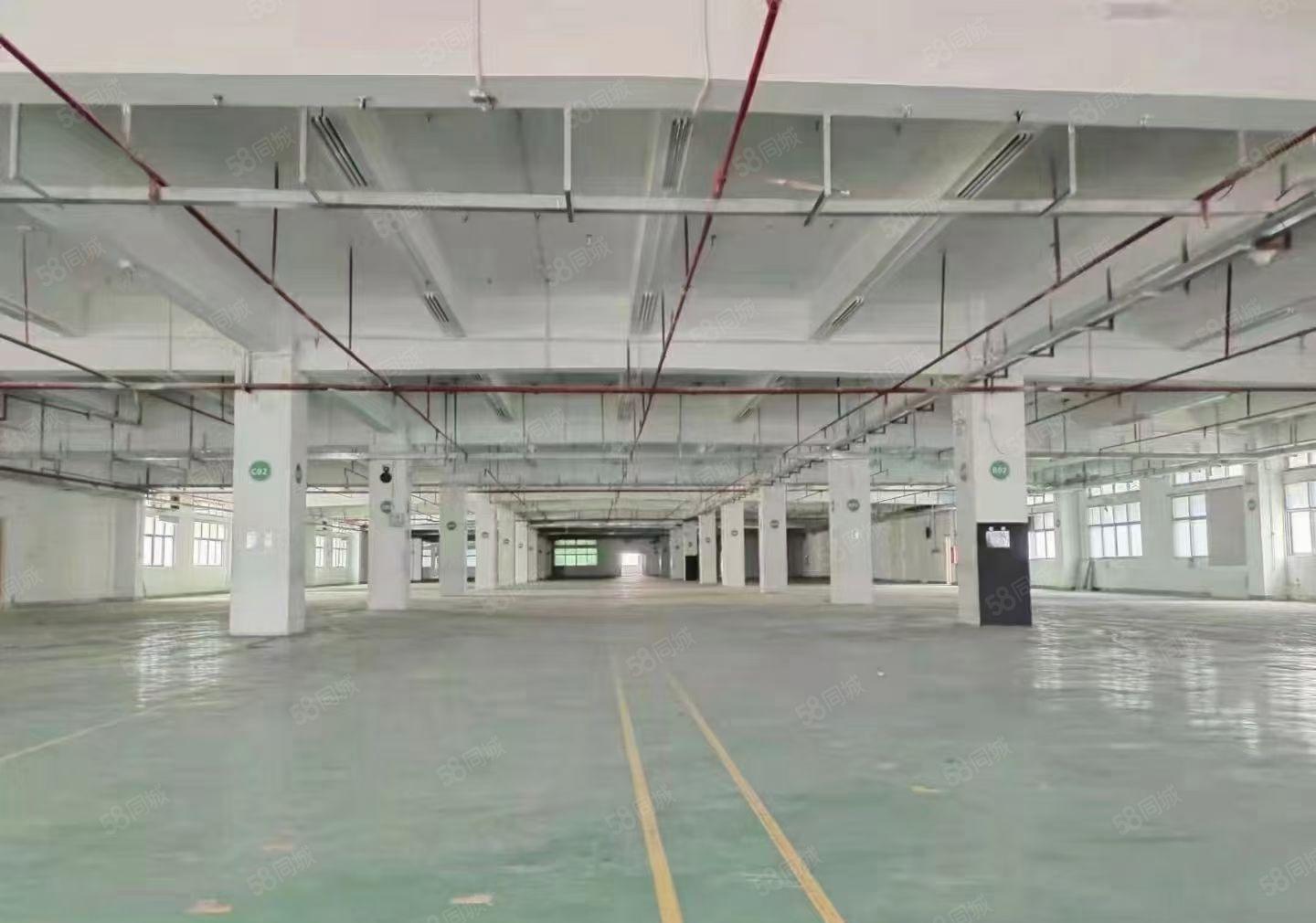 长安沙头大型电子厂房出租，面积30000平方米，可分租