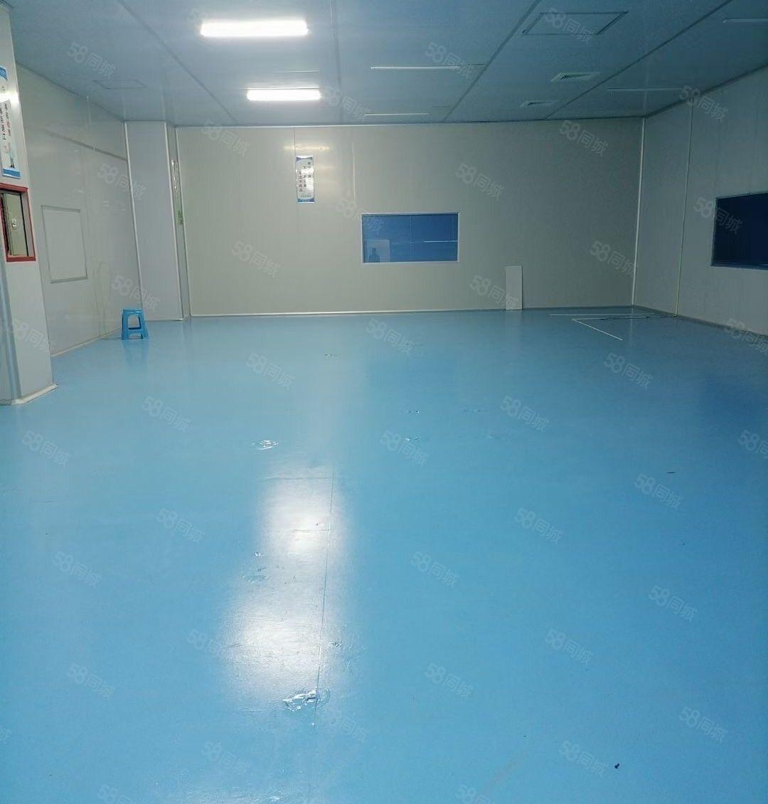 长安沙头无尘车间1380平厂房出租