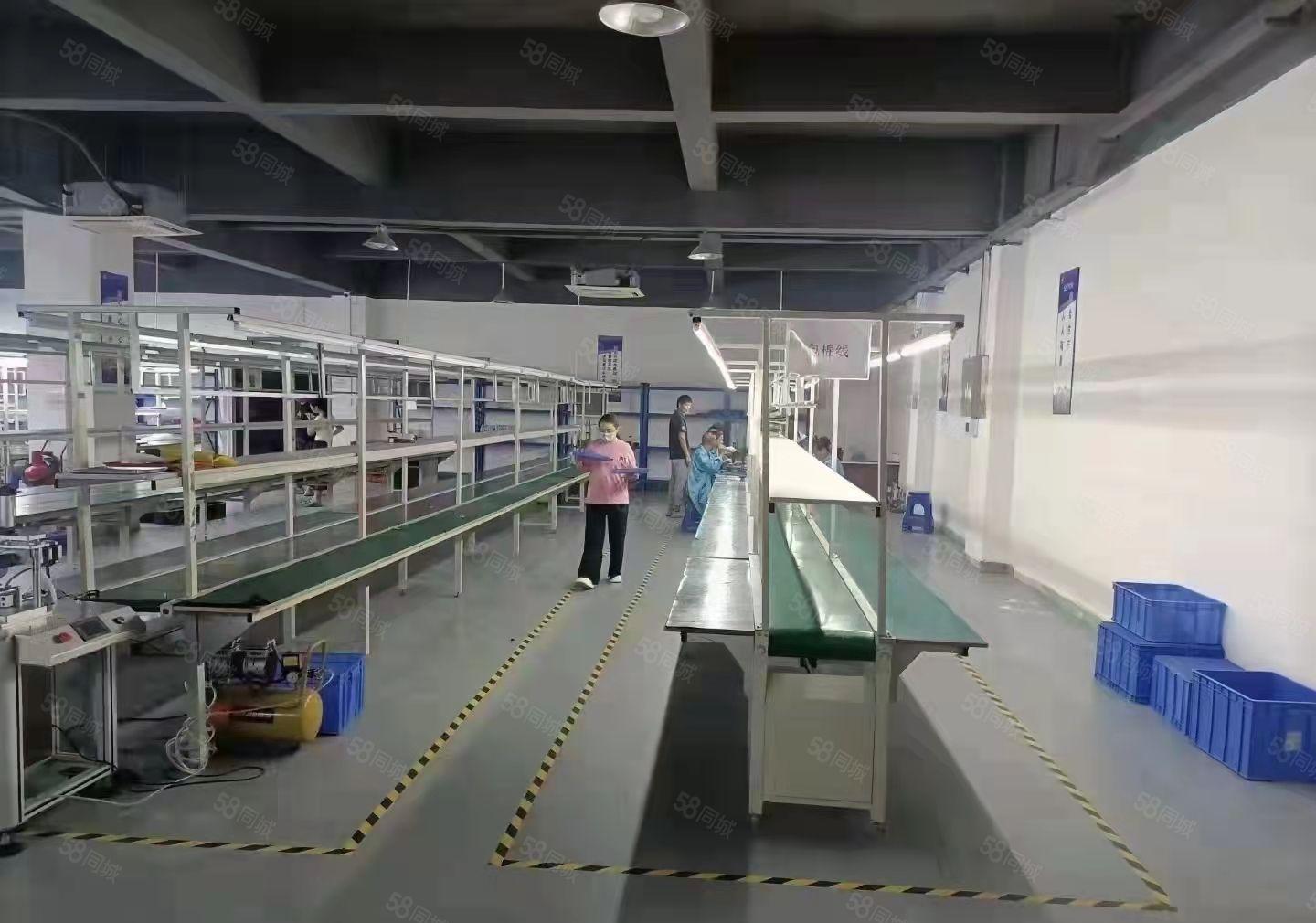 长安新出花园式二楼3000平，豪华装修厂房出租可分租