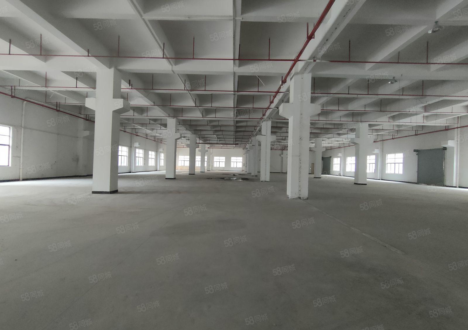 长安镇厦边一楼3580方花园式厂房出租高度8米带牛角