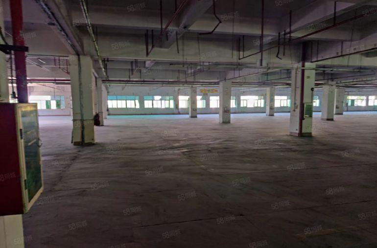 宵边一楼2360平低价出租，园区空地大可进大车可办环评