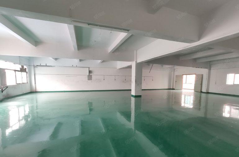 长安增田三楼550平带办公室全新地平漆工业厂房出租