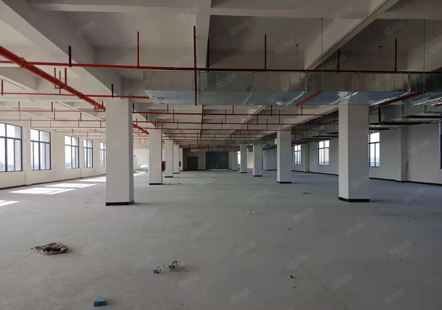 长安沙头新出原房东独院标准厂房建筑面积出租