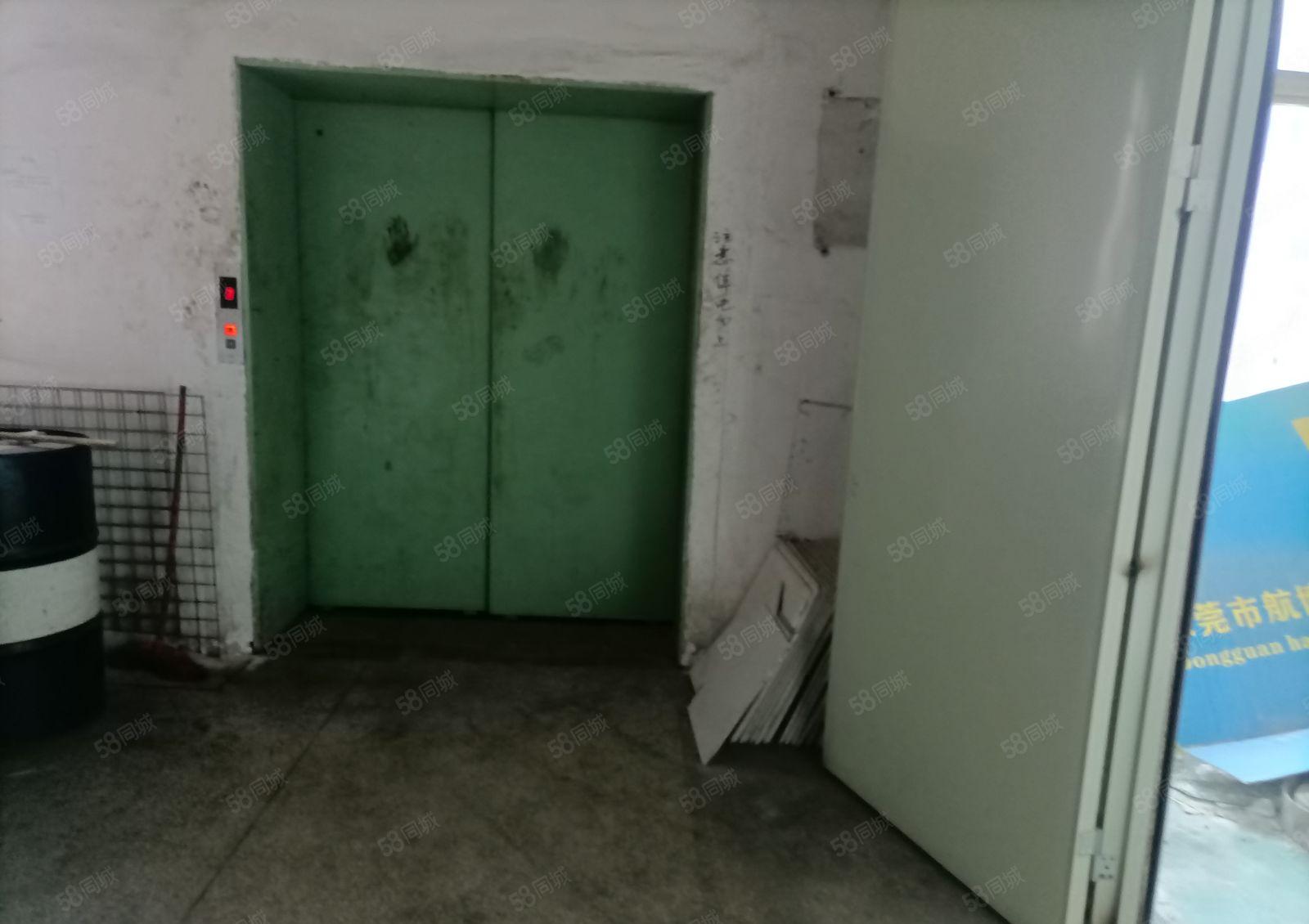 厦岗原房东楼上300平方厂房出租