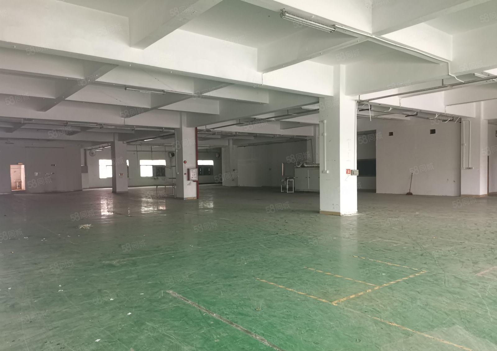 新安大桥旁新出二楼1800平方精装修厂房招租