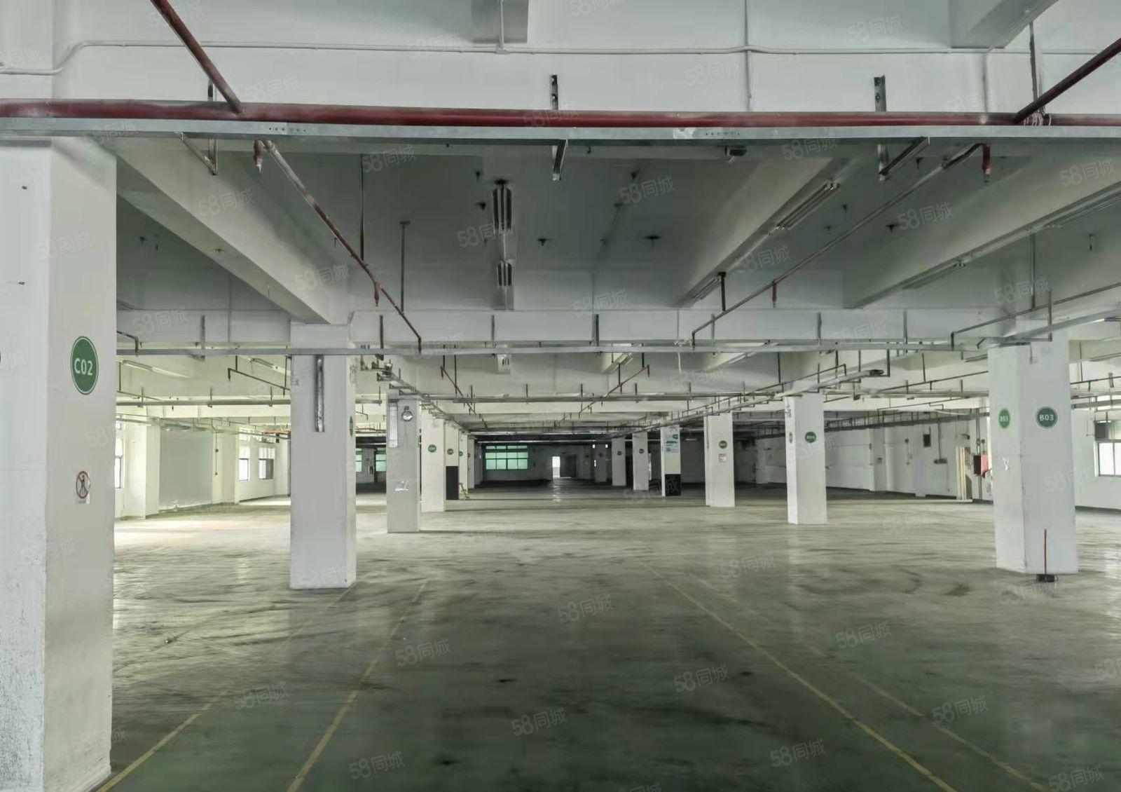 长安镇沿江高速路口新出二楼厂房仓库出租16800平大小可分租