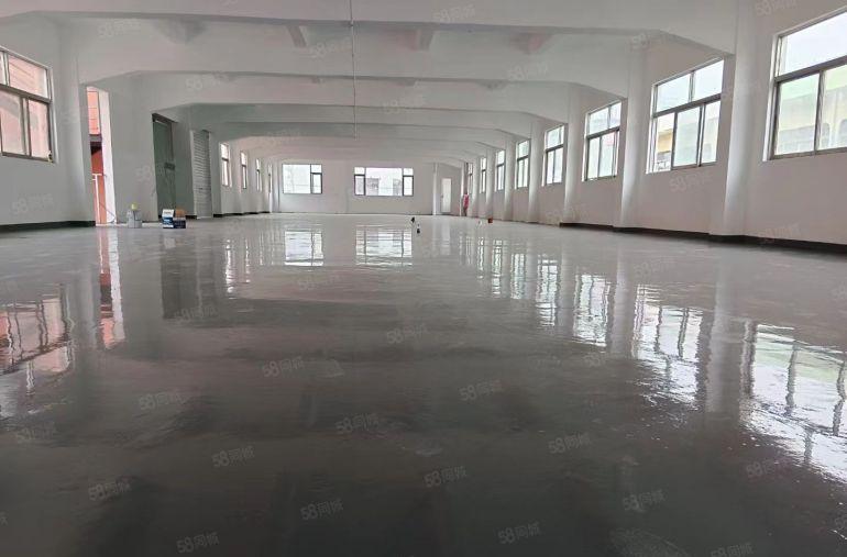 新出一楼1100平带豪华装修厂房