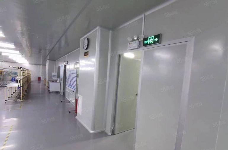 12元出租长安靠深圳原房东精装修独院厂房1到3楼各1200平