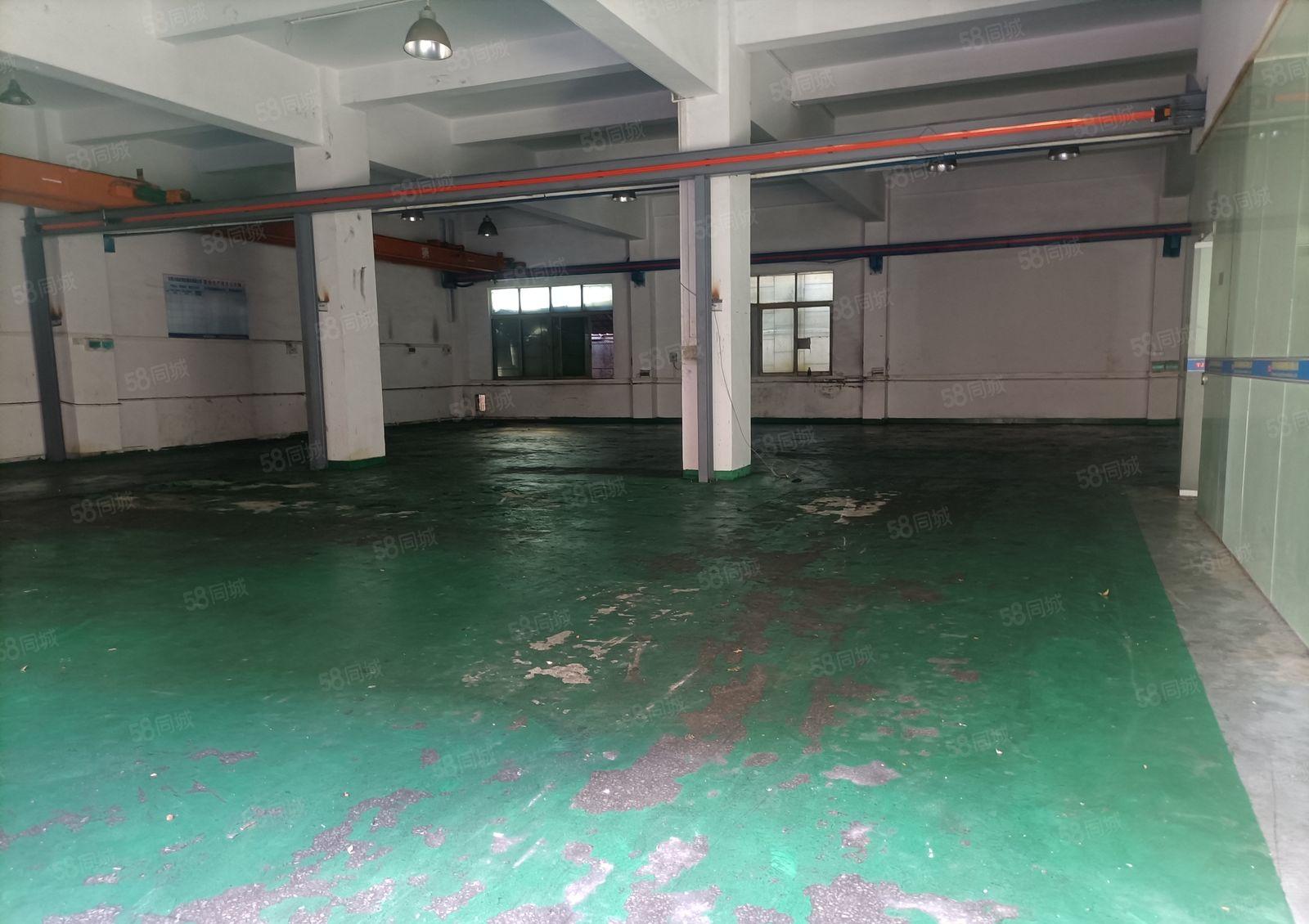 长安厦岗标准一楼带行车厂房出租，面积650平方