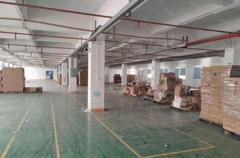 长安镇原房东一二楼厂房出租形象好单层面积3000平可分租6米