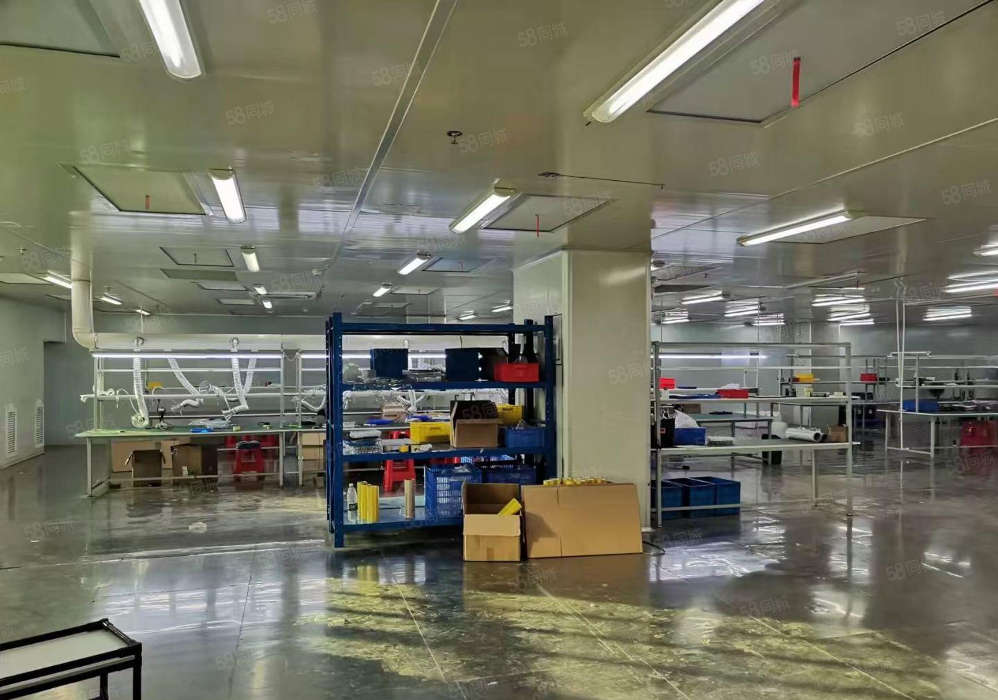 长安沙头成熟工业区楼上整层2000平方无尘车间，不用转让费